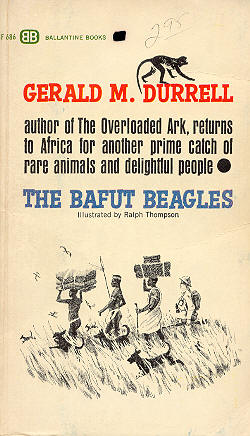 The Bafut Beagles.
